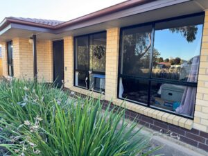 Paint Electrostatic Window 1