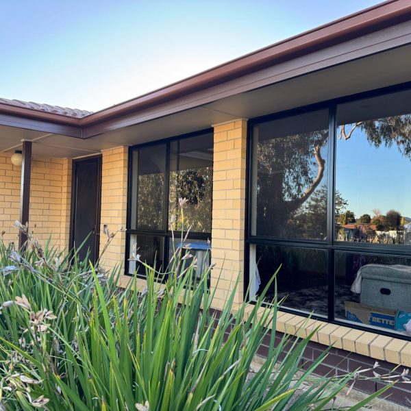 Paint electrostatic painting